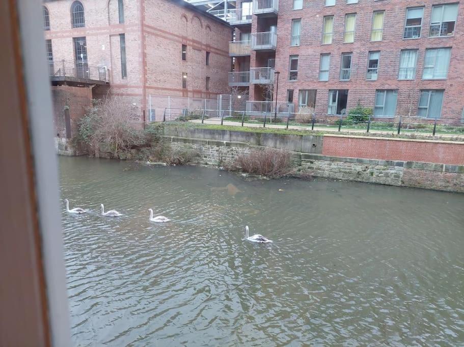 21 The Cocoa Suites York Esterno foto